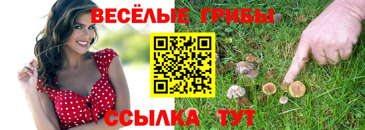 Псилоцибиновые грибы прущие грибы Кириши