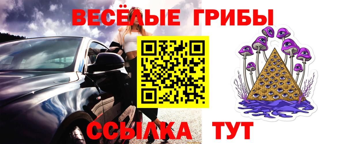 Галлюциногенные грибы GOLDEN TEACHER  Вход с VPN  Кириши 